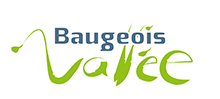 logo baugeois-vallée
